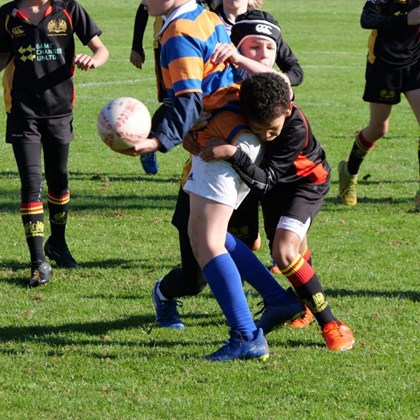 20241005154036_54044855309_o1 scaled 1750x1000 1